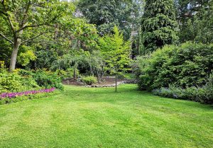 Optimiser l'expérience du jardin à Sogny-en-l'Angle